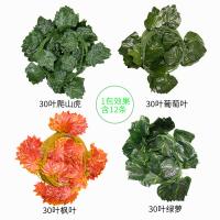 uploads/erp/collection/images/Home Garden/CongDing/XU0610922/img_b/XU0610922_img_b_4